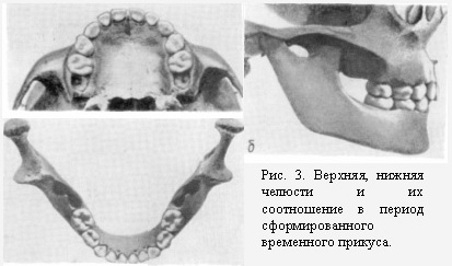 Периоды развития прикуса ребенка лекция