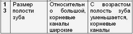 Периоды развития прикуса ребенка лекция