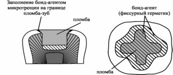 A И Николаев Л М Цепов